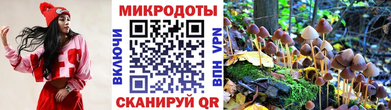 блэк спрут зеркало  Горячеводский  Галлюциногенные грибы Psilocybe  купить  сайты 